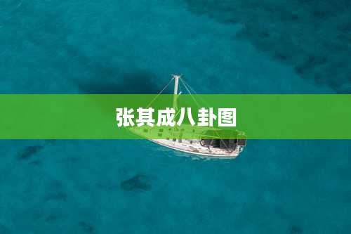 张其成八卦图