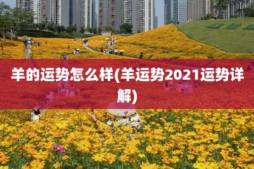 羊的运势怎么样(羊运势2021运势详解)