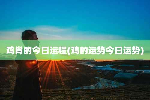 鸡肖的今日运程(鸡的运势今日运势)
