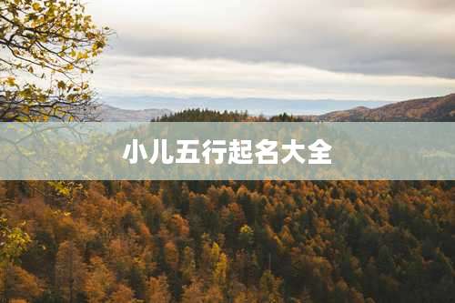 小儿五行起名大全