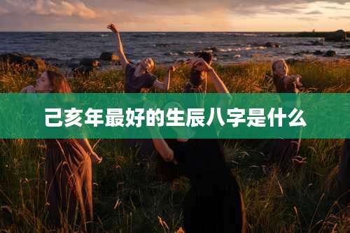 己亥年最好的生辰八字是什么