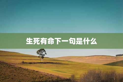 生死有命下一句是什么