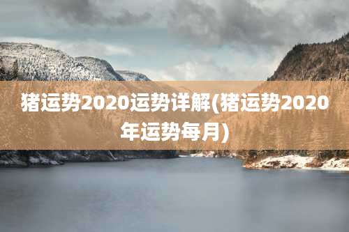 猪运势2020运势详解(猪运势2020年运势每月)