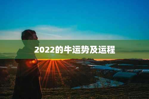 2022的牛运势及运程