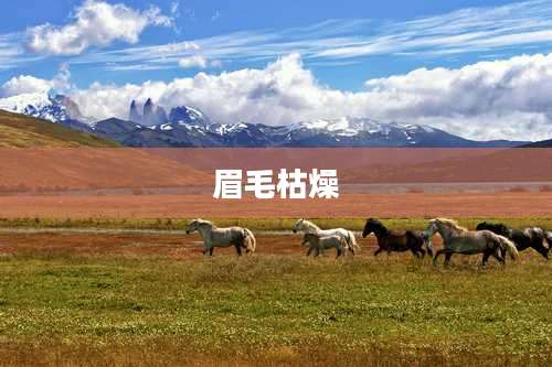 眉毛枯燥