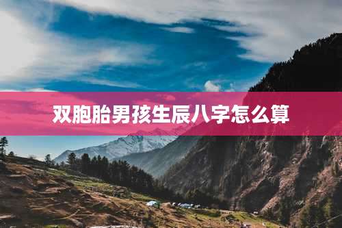 双胞胎男孩生辰八字怎么算