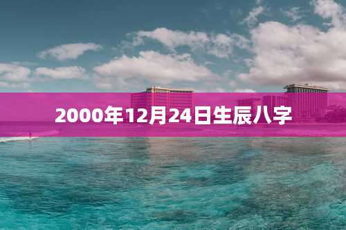 2000年12月24日生辰八字