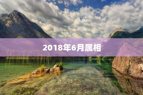 2018年6月属相