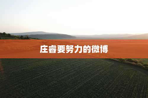 庄睿要努力的微博