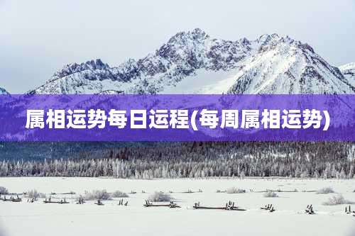 属相运势每日运程(每周属相运势)