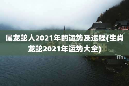 属龙蛇人2021年的运势及运程(生肖龙蛇2021年运势大全)