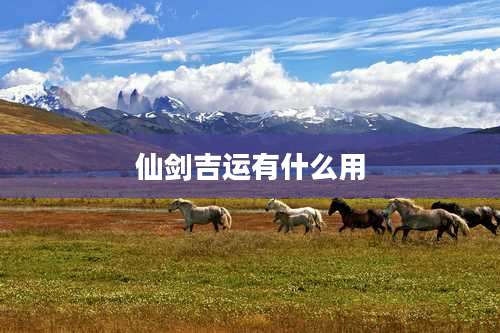 仙剑吉运有什么用