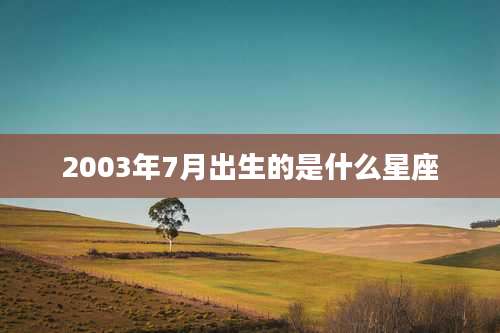 2003年7月出生的是什么星座