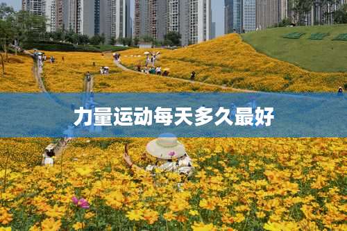 力量运动每天多久最好