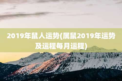 2019年鼠人运势(属鼠2019年运势及运程每月运程)
