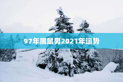 97年属鼠男2021年运势