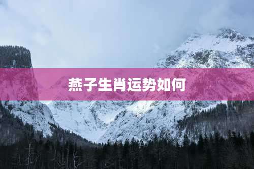 燕子生肖运势如何