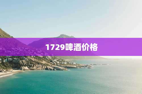 1729啤酒价格