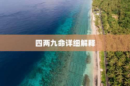 四两九命详细解释