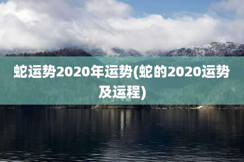 蛇运势2020年运势(蛇的2020运势及运程)