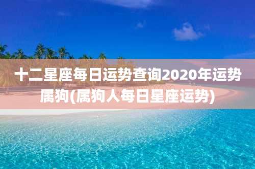 十二星座每日运势查询2020年运势属狗(属狗人每日星座运势)