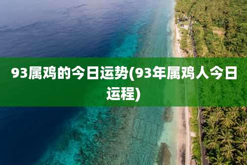 93属鸡的今日运势(93年属鸡人今日运程)