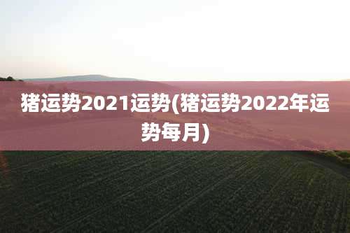 猪运势2021运势(猪运势2022年运势每月)