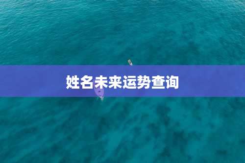 姓名未来运势查询