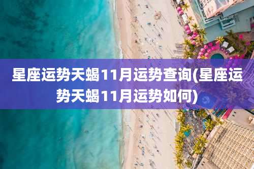 星座运势天蝎11月运势查询(星座运势天蝎11月运势如何)