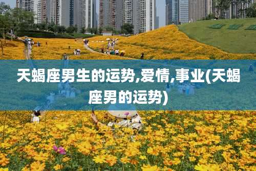 天蝎座男生的运势,爱情,事业(天蝎座男的运势)