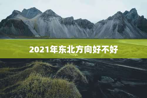 2021年东北方向好不好