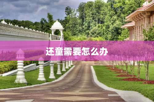 还童需要怎么办