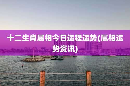 十二生肖属相今日运程运势(属相运势资讯)