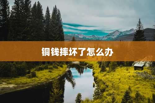 铜钱摔坏了怎么办
