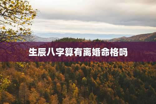 生辰八字算有离婚命格吗