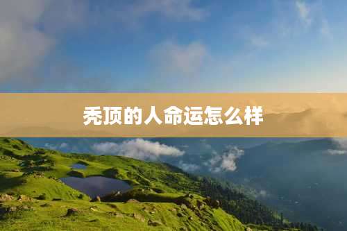 秃顶的人命运怎么样