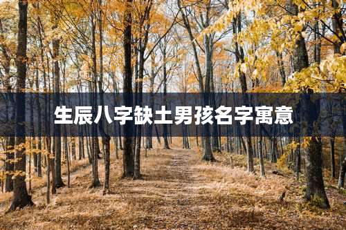 生辰八字缺土男孩名字寓意