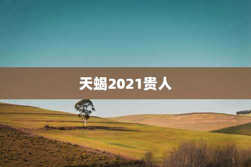 天蝎2021贵人