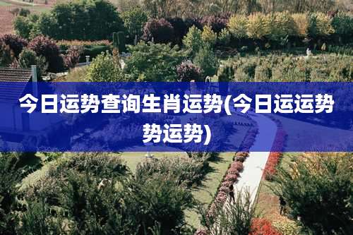 今日运势查询生肖运势(今日运运势势运势)