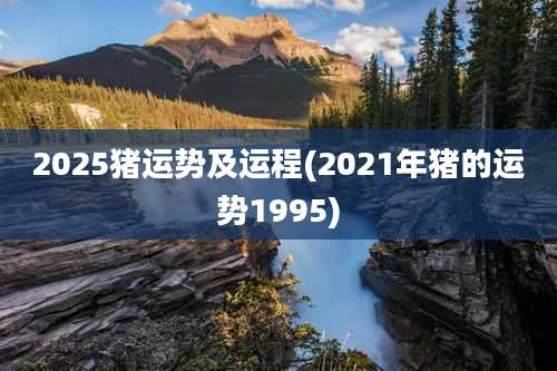 2025猪运势及运程(2021年猪的运势1995)