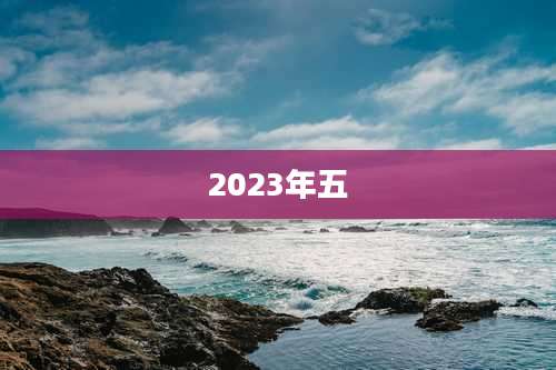 2023年五