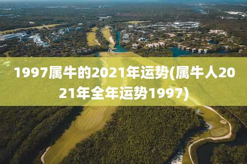 1997属牛的2021年运势(属牛人2021年全年运势1997)