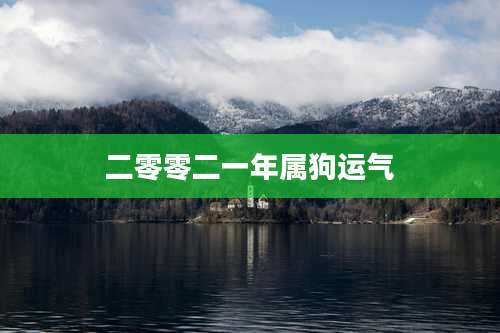 二零零二一年属狗运气