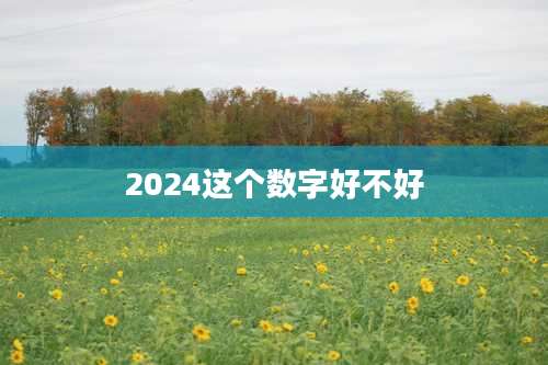2024这个数字好不好