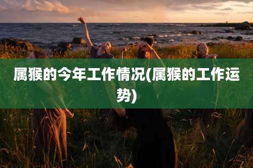 属猴的今年工作情况(属猴的工作运势)