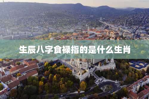 生辰八字食禄指的是什么生肖