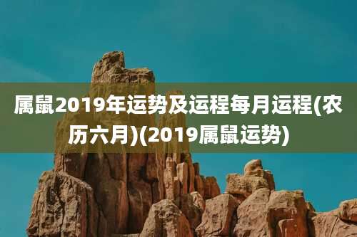 属鼠2019年运势及运程每月运程(农历六月)(2019属鼠运势)