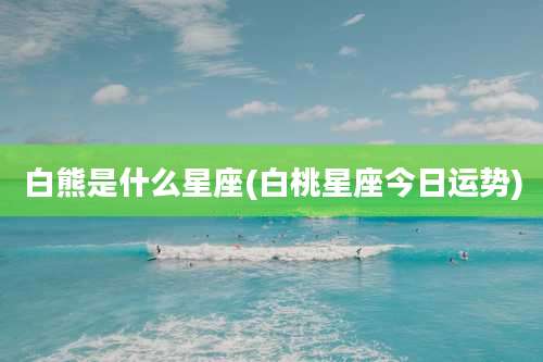 白熊是什么星座(白桃星座今日运势)
