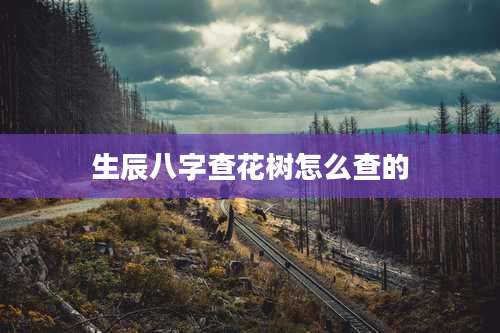 生辰八字查花树怎么查的
