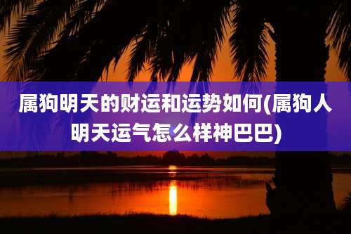 属狗明天的财运和运势如何(属狗人明天运气怎么样神巴巴)